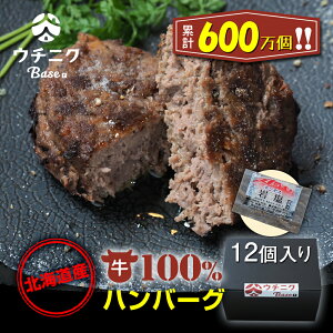 ykCYz100no[O 12@E`jNBase IE` Y 100%   y Ε 䒆 Ε  j v[g p ̓ ̓ hV̓ ʔ 