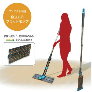 tbgbv RpNg[ ionic+ NX R RJr h  ؂ XCh NXXyA2