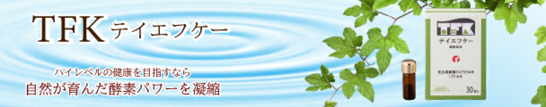 ＴＦＫ テイエフケー