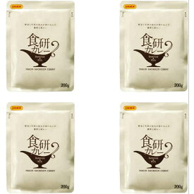 欧風ビーフカレー 日本食研 食研カレー200g×4袋 メール便