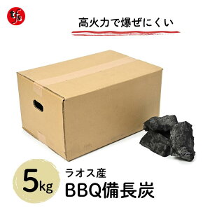 �yTFS�zBBQ�����Y 5kg ���I�X�Y �V�R�����Y �L�����v ��������BBQ �����ԔR�� �R���p�N�g�T�C�Y ������ �����^�ѕ֗� �΂��t���ɂ����ł��i�����܂���j