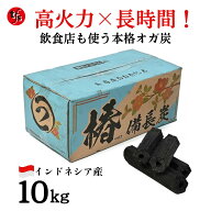 【TFS】椿備長炭P（オガ炭）業務用 白炭焼き 長時間燃焼 七輪 ジンギスカン インドネシア産オガ炭 火が着…