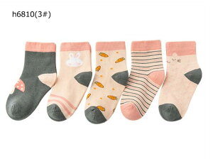 y[zjimaxbaby5_3680~[֑@5_Zbg@ C@xr[C@V c \bNX@@C@5@xr[C@qC@̎q@j̎q@oYj@jp