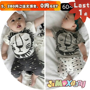 y[zLast1_A5,280~ȏゲA0~GETIjimaxbaby5_3680~60cm2_Zbg@CI̔+/ʕ̃V[gpc@ZbgAbv@JWA@@Vvȃf