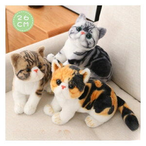 L ʂ A lR ybg ˂ {  qǂ LbY Mtg ǂ̓ v[g q ̎q j̎q  ӂӂ 26cm 蕨 킢