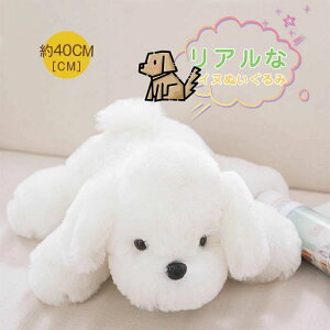 �ʂ������ �� �C�k ���� �� ���� �ӂ�ӂ� �������� �A�j�}�� ���� ���A�� �������� �C���e���A ������ �L�b�Y ���� �L���[�g �u�� �q�� ���̎q �ޏ� �N���X�}�X ���j�� �a����