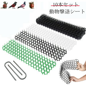 ���悯�V�[�g ���悯 �L�悯 �X�p�C�N ���悯�΍� �������ރX�v���[ ������ �D�ꂽ�ϋv�� �x�����_ ���� �肷�� ���p �h���h�b�}�b�g ������ �������O�b�Y 10�{�Z�b�g