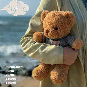 30cm 40Z` 40cm 50cm ʂ  efBxA TCY 傫TCY Z[^[t q l ւł v[g YQ  NX} wj a