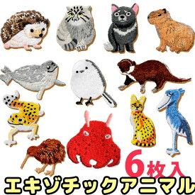 6枚入 アイロンワッペン 可愛いエキゾチックアニマル 高クオリティ 刺繍ワッペン ワンポイント メンダコ ヒョウモントカゲモドキ ハシビロコウ シマエナガ マヌルネコ