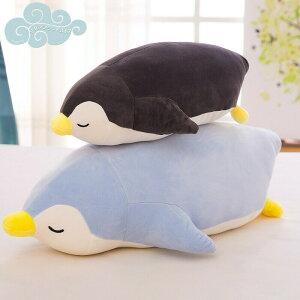 35 50 60 70cm ʂ NbV yM 킢 傫TCY TCY   q l  Q YQ   wj a ObY