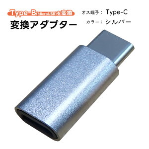 ϊA_v^[ Type-Bϊ IׂIX[q Lightning Type-C [d\ MicroUSB^CvC CgjO֕ϊ ϊRlN^[ X ^  [dP[uϊ ubN Vo[ S[