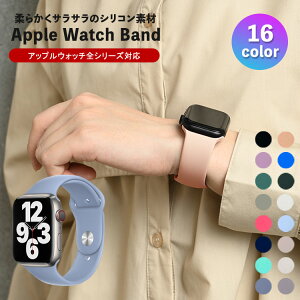 Apple Watch 11 10 9 SE3 oh VR fB[X Y ݃J[   X|[c 46mm 41mm h   킢 J[ AbvEHb` 8 7 xg 6 5 SE 2 45mm 49mm  
