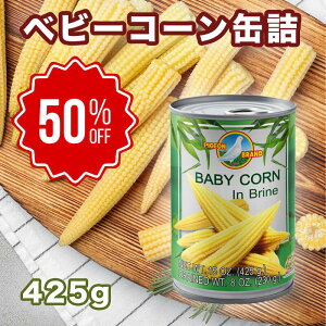 wsWx xr[R[̊ʋl 425gy1zy܂Ƃߔzyňlz@^CY ^C GXjbN OR[ ʋl T_  H hАH ʕ H hАH 