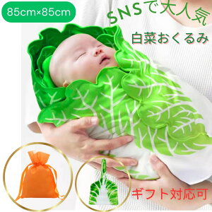 gIN[|zz zA   Vp uPbg oYj xr[Mtg j̎q ̎q Xqt Ԃpi VObY 鋃΍ tl