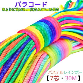 今すぐ使える【クーポン配布中】【7芯・30M】パラコード 4mm レインボー キャンプ ロープ 耐荷重250kg テント用 ガイライン アウトドア キャンプ 固定ひも DIY クラフト ペット用 (パステルレインボー, 30m)