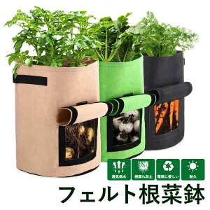 yz2Zbg 30×35cm 7K 25L  ώ@ tFg  [M] v^[  lQ 卪 WKC  ƒ؉ x_؉ y [