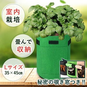 yz35×45cm 11K 45L  ώ@ tFg @[L] v^[ ͔|  ɂ񂶂 卪 WKC  ƒ؉ x_؉ y [