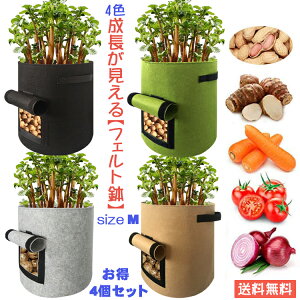 yz4Zbg 30×35cm 7K 25L  ώ@ tFg  [M] v^[  lQ 卪 WKC  ƒ؉ x_؉ y [