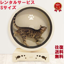 【レンタル】往復送料無料 猫 おもちゃ 3ヶ月たっぷり使える人気にゃん気商品【キャットホイール】 話題の猫ルームランナー S サイズ 2〜4キロ 用 仔猫 ミニウサギ ミーアキャット 延長あり