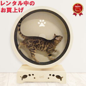 レンタルサービス中にご購入を決めた方専用 M L レンタル品 新品