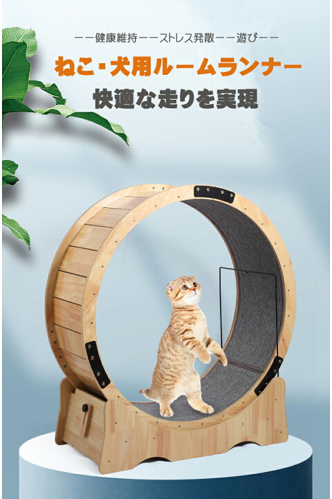 楽天市場】【送料無料】【楽天1位】 キャットホイール 小型犬 獲物  