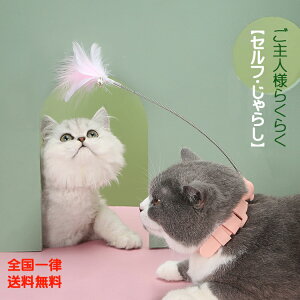 yzy1000~|bLzZt炵@˂@@˂炵