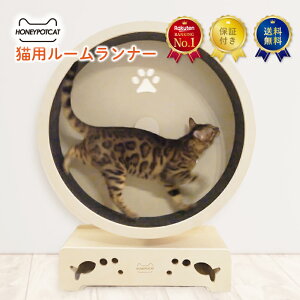 【MAX30ヶ月保証】【楽天1位】キャットホイール 話題のネコ専用ルームランナー 組立不要 静音 静か 自走式 キャットタワー キャットウォーク M 4〜8キロの子まで 運動不足 健康 ダイエット ホ