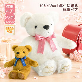【ポイント10倍★要エントリー】【ご入学お祝い】ピカピカの1年生 選べるギフトセット 5点 6点 7点｜名入れ刺繍 ラッピング ケース付き｜新入学祝い 7歳 誕生日 ギフト 入学内祝い