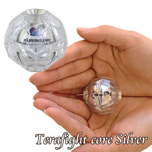テラファイトコア シルバー(単品)