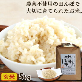 ササニシキ 玄米 5kg