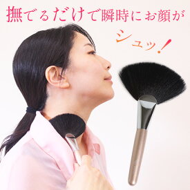 さとう式　フェイシャルブラシ