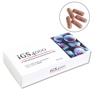 iGS4000 JvZi30JvZj