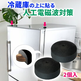 二層コイル ブラックアイW（2個入）