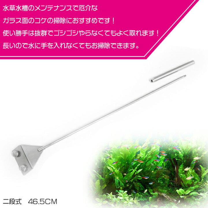 楽天市場 水槽 プロレイザー スクレーパー コケ取り ガラス面掃除 熱帯魚 アクアリウム 水草 水槽 メンテナンス 掃除 コケ取り 苔取り ザ アペックス 楽天市場店