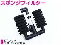 楽天市場】スポンジ フィルター ベタの通販