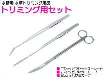 楽天市場】水槽水草 ピンセット セットの通販