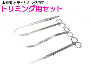 p XeX g~O Zbg eiX sZbg nT~ 4_Zbg  CAEg  A ێyMы ANAE  g~O eiX C