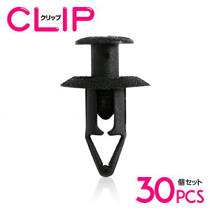 y30z OH MB547806݊ J[t@Xi[ / Nbv / plpNbv / K[jbVNbv ytgO/vbVxbg/Nbv/Obgz