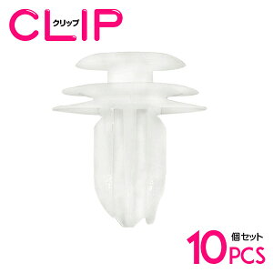 y10z Xo 909130034݊ J[t@Xi[ / Nbv / plpNbv / K[jbVNbv yhApl/vbVxbg/Nbv/Obgz