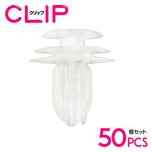 y50z Xo 909130034݊ J[t@Xi[ / Nbv / plpNbv / K[jbVNbv yhApl/vbVxbg/Nbv/Obgz