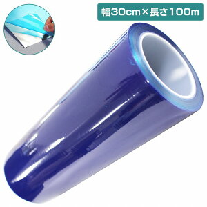 w100m 30cmx\ʕی e[v u[ {e[v Xebv tB V[g {fB h~ tB }XLO 