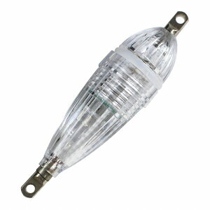 w/zCg 4{ZbgxW ނ CJނ  Cg 6cm ނ AICJ RECJ  LED  4