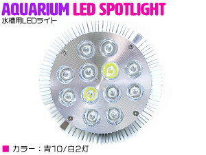 y102z24W(2W×12) d E26   p Ɩ A琬 X|bg Cg 12LED ANAE d  TS Mы