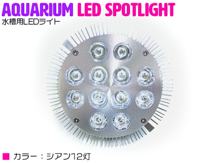 楽天市場 交換球 Led スポットライト シアン12灯 照射角60度 水槽用照明 Led照明 Ledライト アクアリウム 熱帯魚 淡水魚 海水魚 水草 サンゴ イソギンチャク ミドリイシ シャコガイ 観賞魚 水槽 レイアウト ザ アペックス 楽天市場店