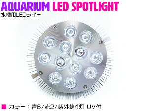 y6/2/O4z24W(2W×12) d E26   p Ɩ A琬 X|bg Cg 12LED ANAE d 