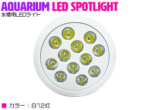 ANAE d 12 LED 12  p 24W X|bg Cg E26  Ɩ  A琬  TS Mы Ǝˊp90x
