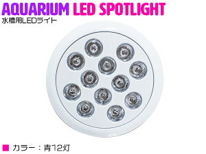 Led 海水魚 水槽用照明の人気商品 通販 価格比較 価格 Com Led 海水魚 水槽用照明の人気商品 通販 価格比較 価格 Com