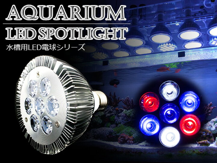 楽天市場 交換球 Led スポットライト 白2 青2 赤2 紫外線1 Uv付き 照射角60度 水槽用照明 Led照明 Ledライト アクアリウム 熱帯魚 淡水魚 海水魚 水草 サンゴ イソギンチャク ミドリイシ シャコガイ 観賞魚 水槽 レイアウト ザ アペックス 楽天市場店