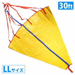 LLTCY `30ft V[AJ[ pV[g AJ[ D {[g Cނ ނ̕Ki   26/27/28/29/30tB[g