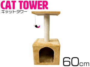 Lbg^[ 60cm uE u lRnEX RpNg ^s ܖ VяBƂƂčœKu^